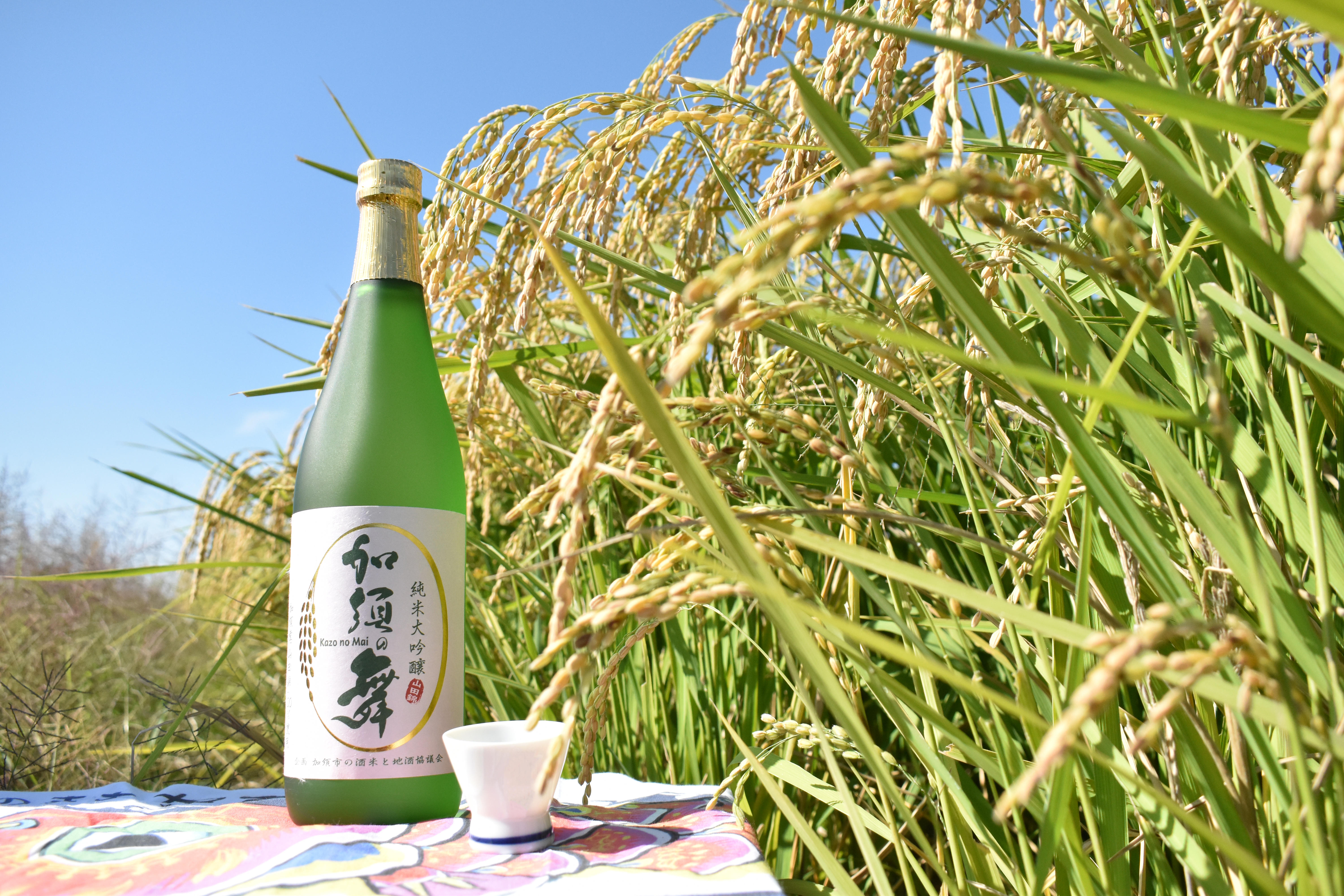 「加須の舞」」