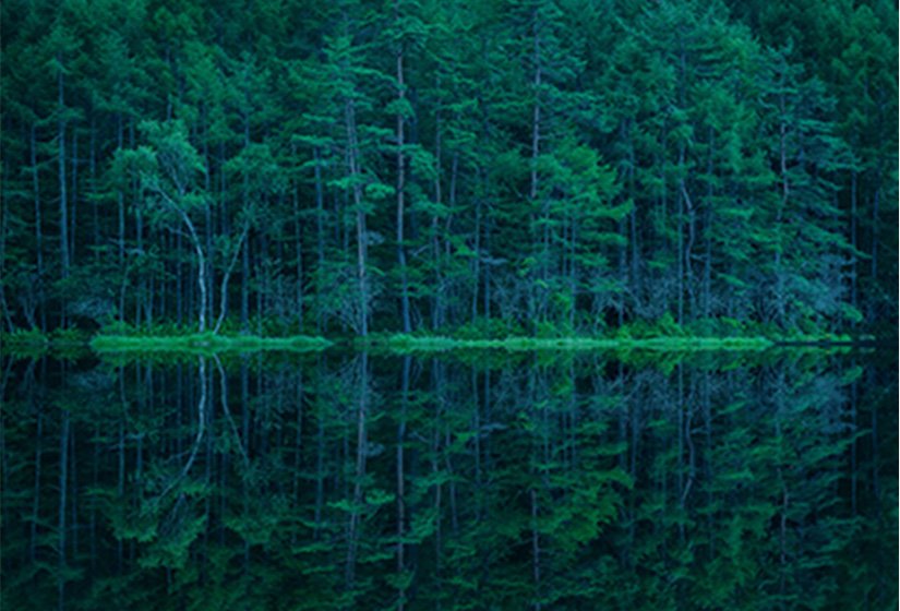 Sustainability サステナビリティへの取り組み