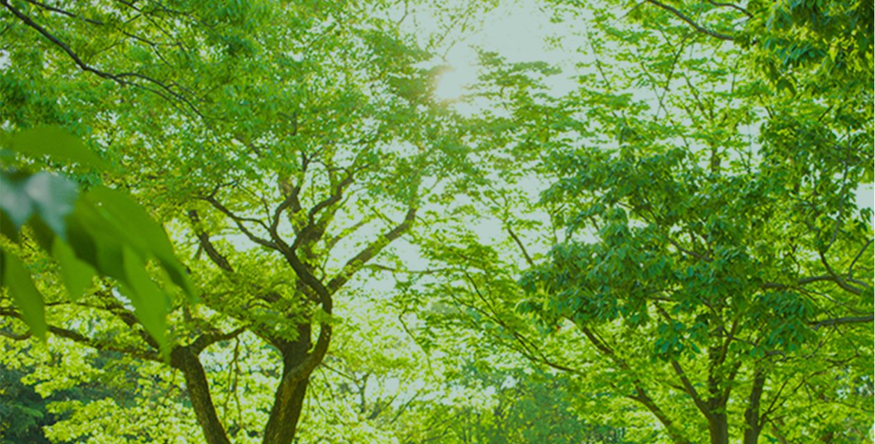 Sustainability Initiatives サステナビリティへの取り組み