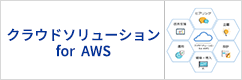クラウドソリューション for AWS